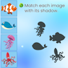 Match-Pictures
